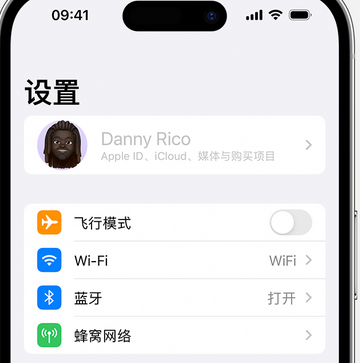 鹿寨appleID维修服务iPhone设置中Apple ID显示为灰色无法使用