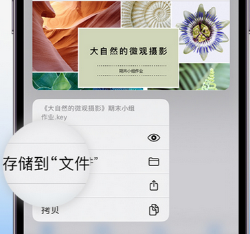 鹿寨apple维修中心分享iPhone文件应用中存储和找到下载文件