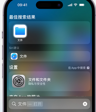 鹿寨apple维修中心分享iPhone文件应用中存储和找到下载文件 