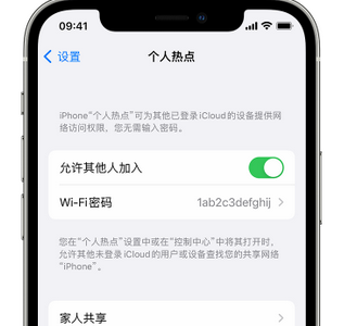 鹿寨apple服务站点分享iPhone上个人热点丢失了怎么办 