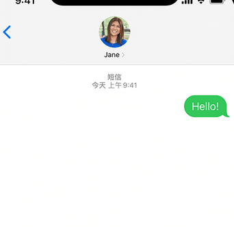 鹿寨apple维修iPhone上无法正常发送iMessage信息