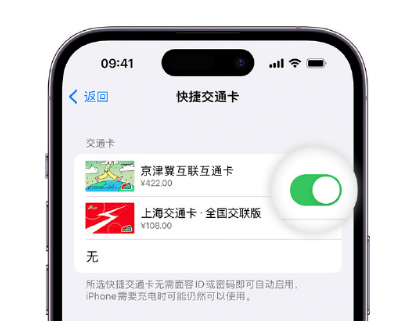 鹿寨apple维修点分享iPhone上更换Apple Pay快捷交通卡手绘卡面 