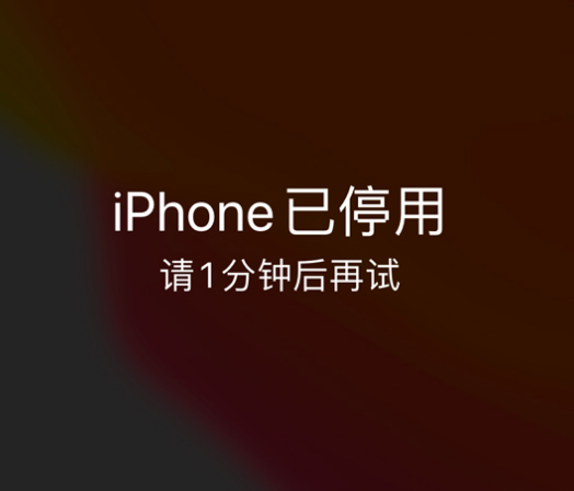 鹿寨苹果手机维修分享:iPhone 显示“不可用”或“已停用”怎么办？还能保留数据吗？ 