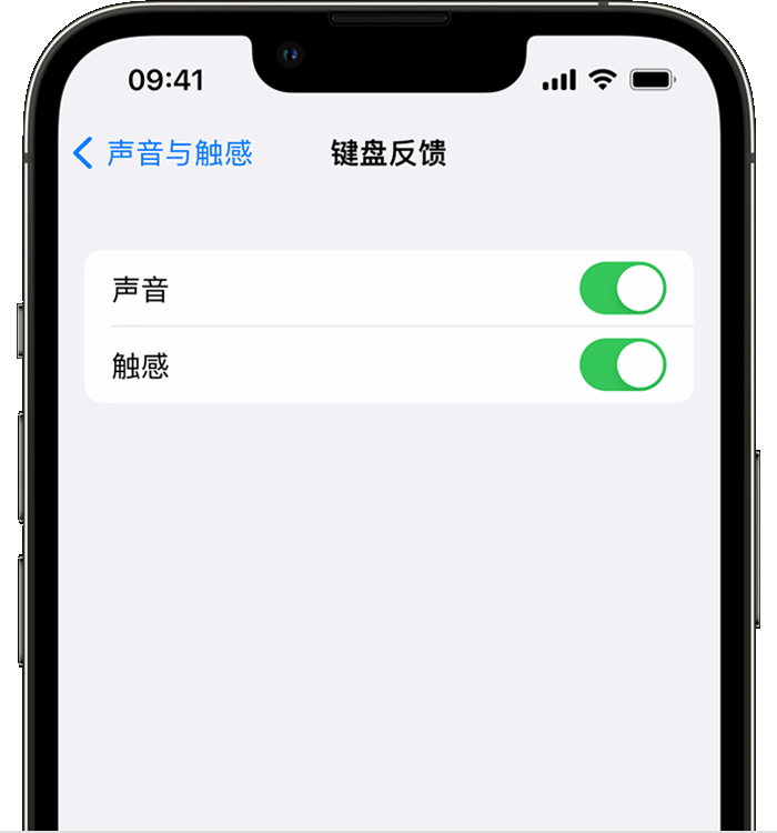 鹿寨苹果14维修店分享如何在 iPhone 14 机型中使用触感键盘 