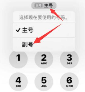 鹿寨苹果14维修店分享iPhone 14 Pro Max使用副卡打电话的方法 