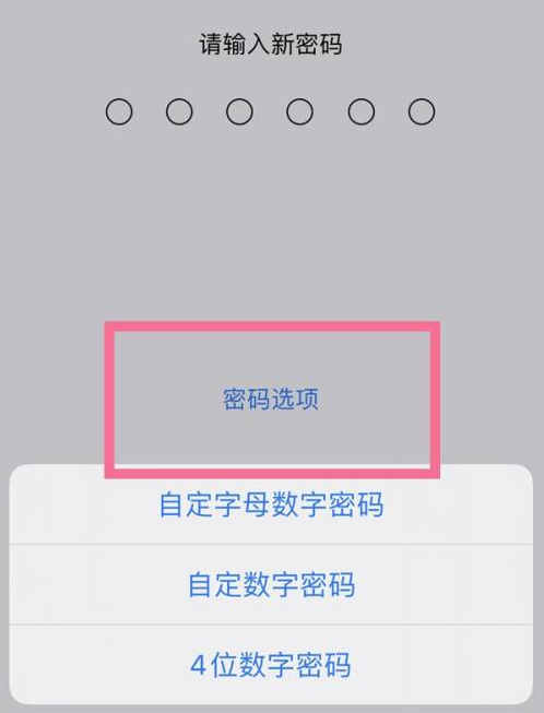 鹿寨苹果14维修分享iPhone 14plus设置密码的方法 