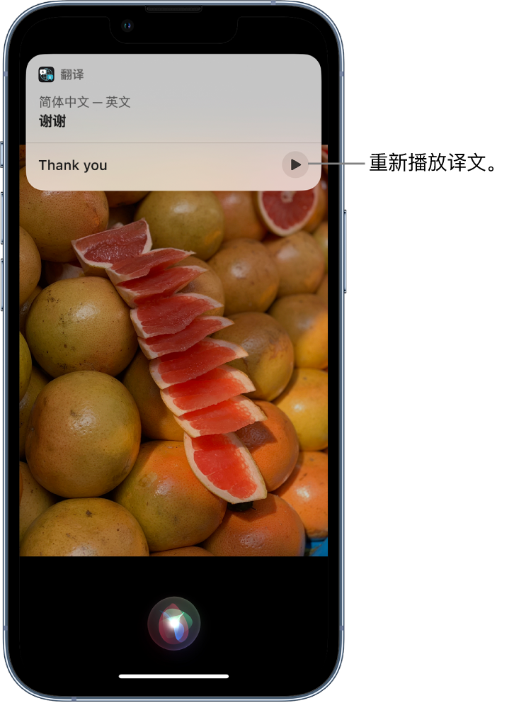 鹿寨苹果14维修分享 iPhone 14 机型中使用 Siri：了解 Siri 能帮你做什么 