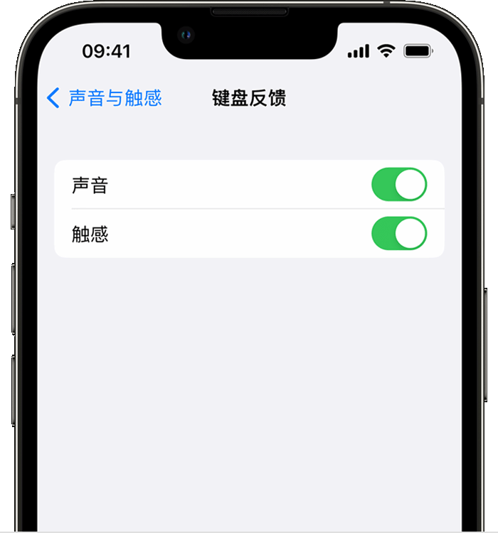 鹿寨苹果14维修分享iPhone 14 系列机型如何开启键盘声音或触感反馈 