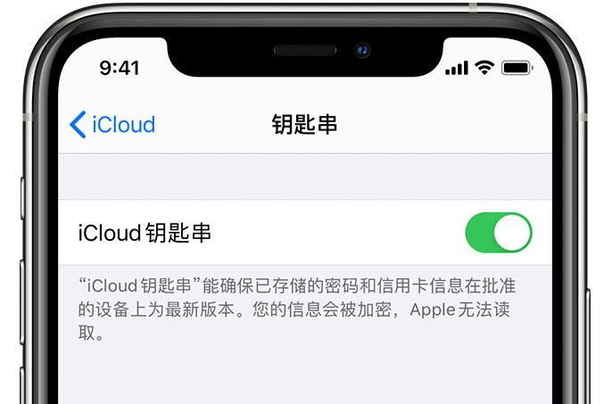 鹿寨苹果手机维修分享在 iPhone 上开启 iCloud 钥匙串之后会储存哪些信息 