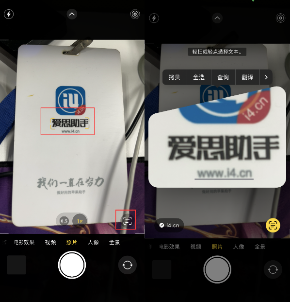 鹿寨苹果手机维修分享升级iOS 16后如何通过相机翻译文本 