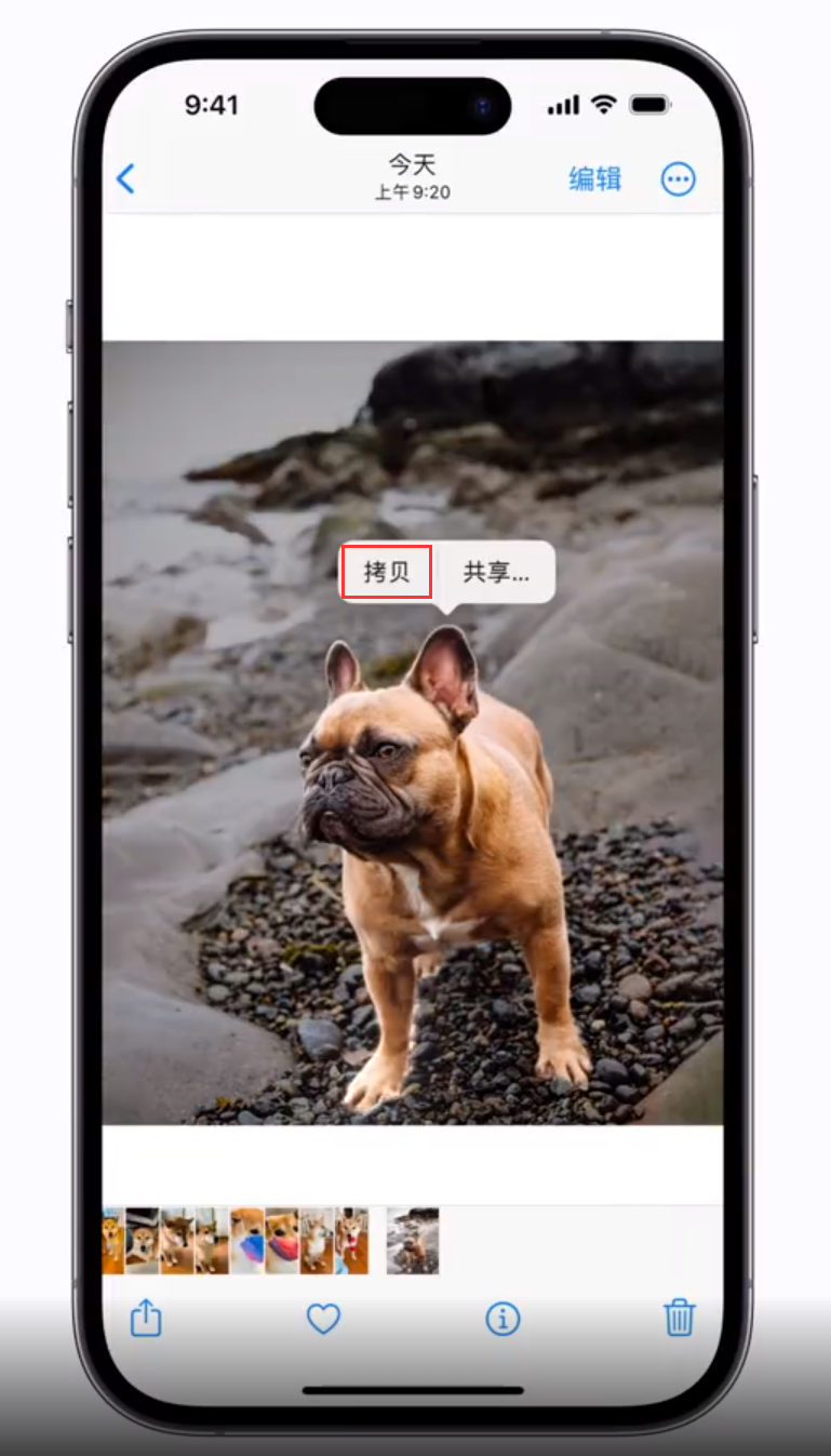 鹿寨苹果手机维修分享 iOS 16 自带一键抠图功能 