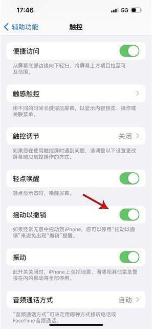 鹿寨苹果手机维修分享iPhone手机如何设置摇一摇删除文字 