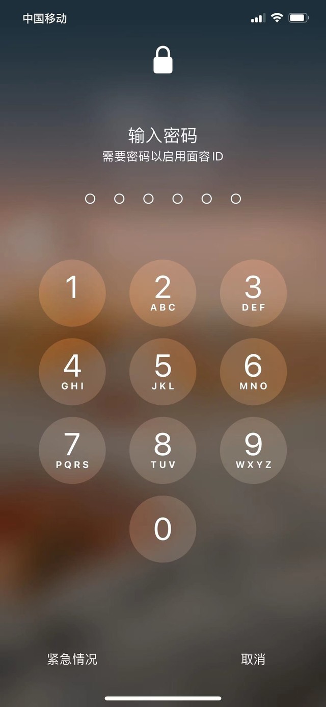 鹿寨苹果13维修分享iPhone 13加强锁屏功能有什么用 