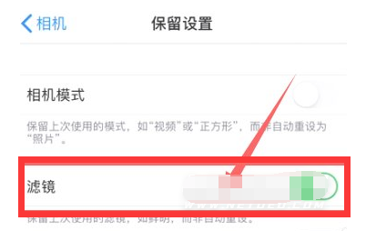 鹿寨苹果13维修分享iPhone13拍照有绿点是怎么回事 