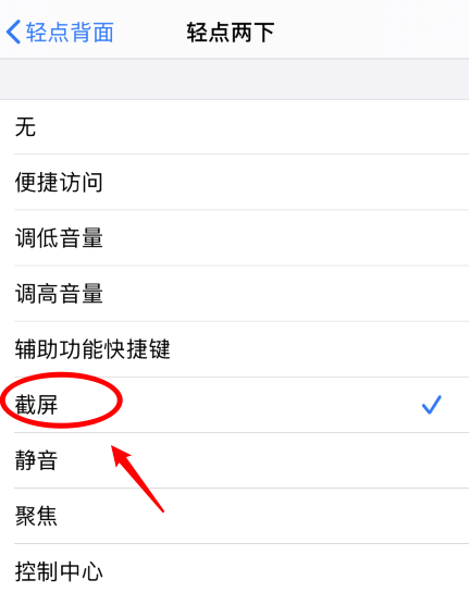鹿寨苹果手机维修分享iPhone12如何启用双击截屏 