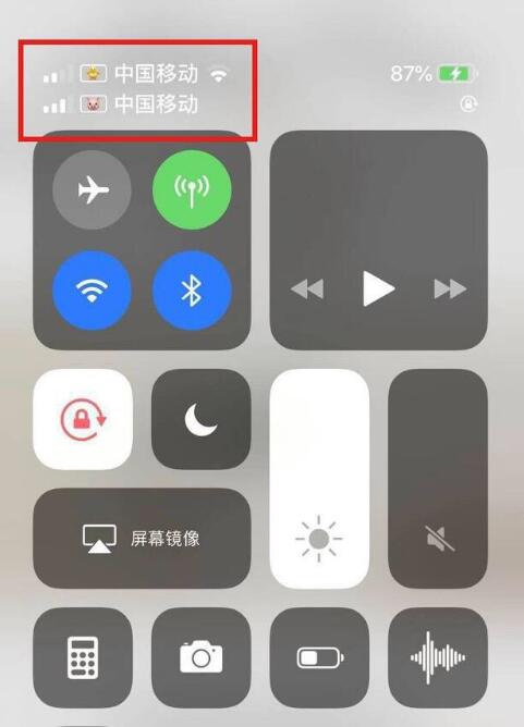 鹿寨苹果手机维修分享为 iPhone 12 双卡设置标签 